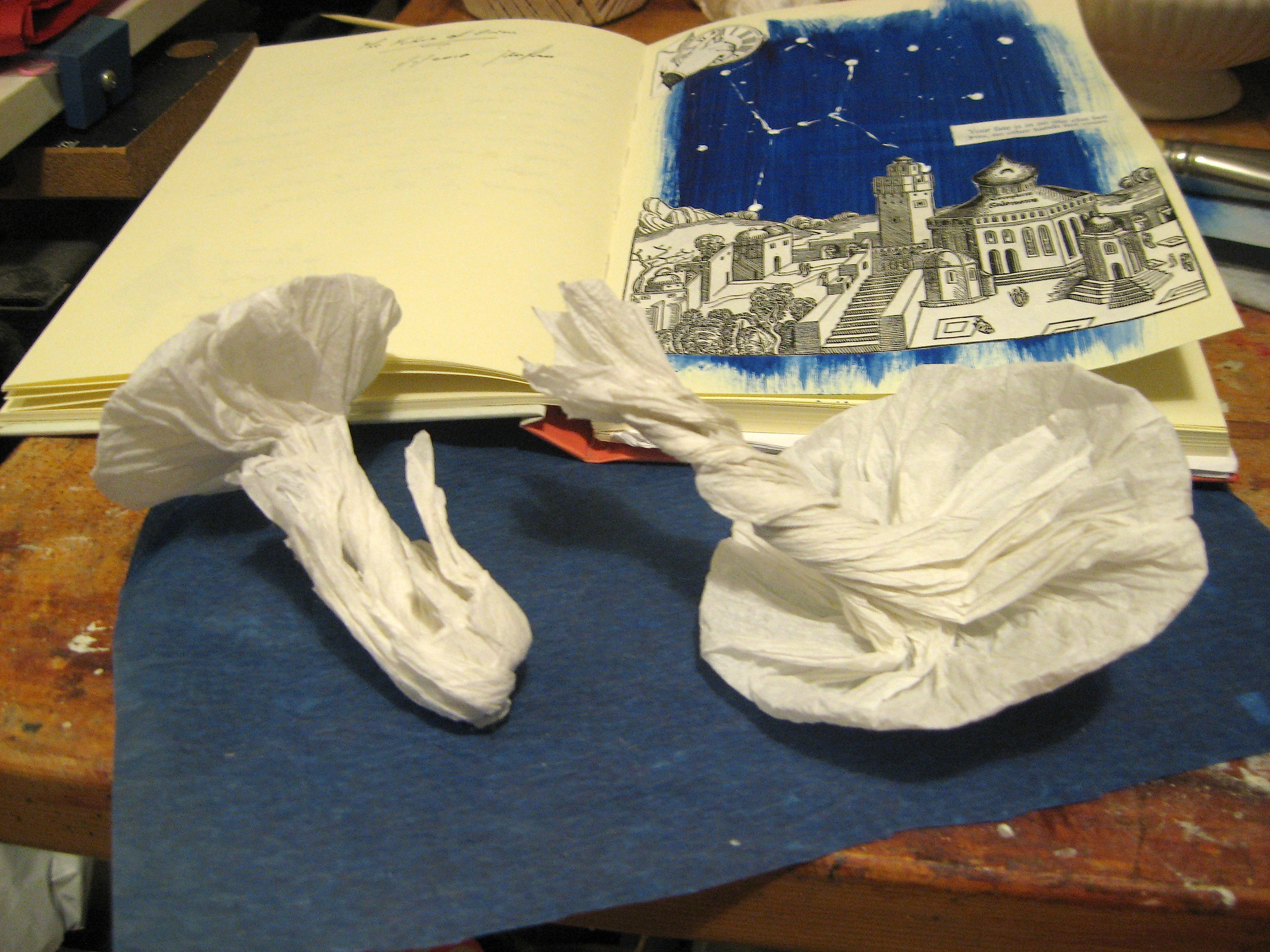 Journal and mushrooms