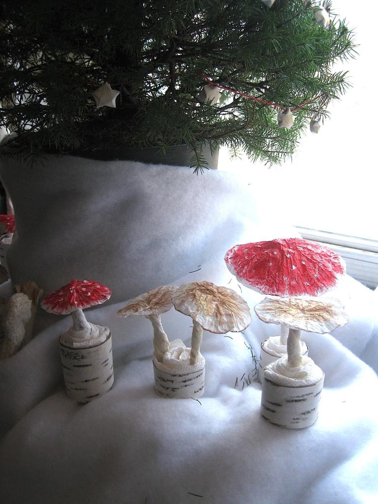 mushrooms under the tree