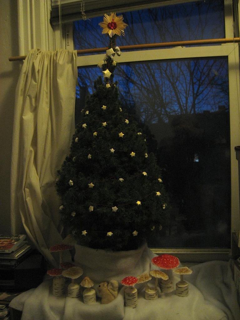 yule tree at dusk
