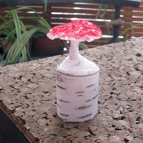 Amanita muscaria, small 2