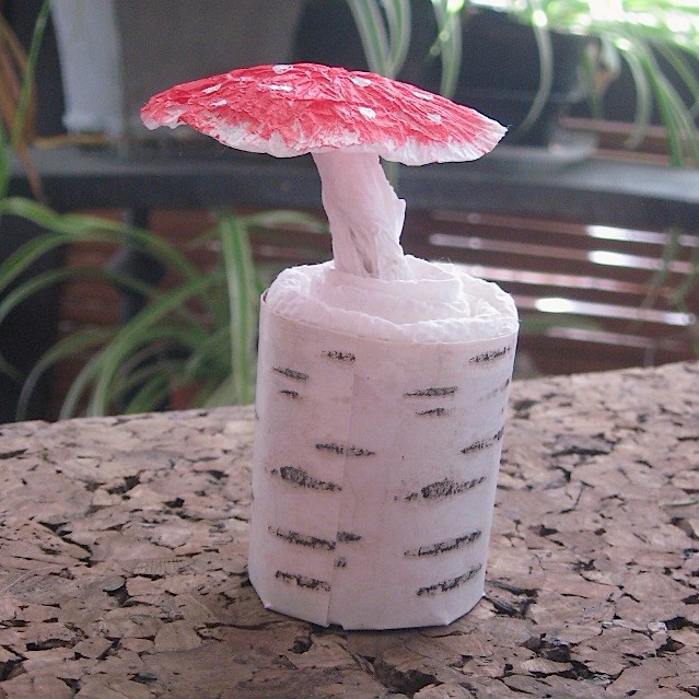 Amanita muscaria, small 1