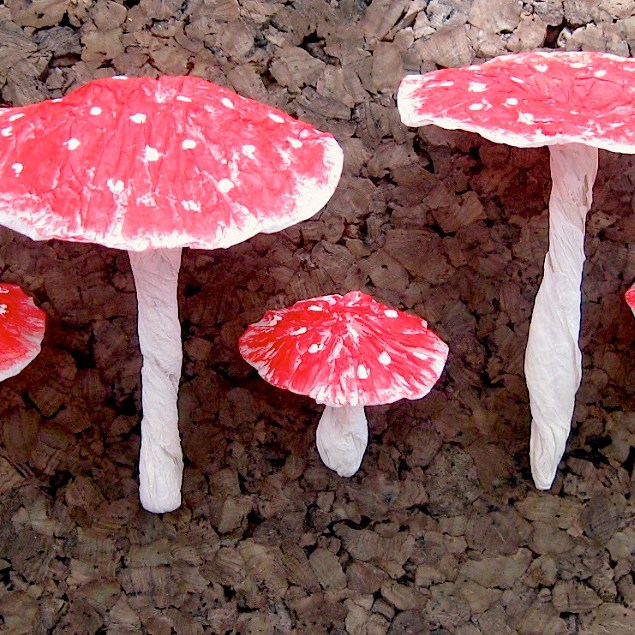 Amanita muscaria, side view