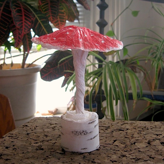 Amanita muscaria, large