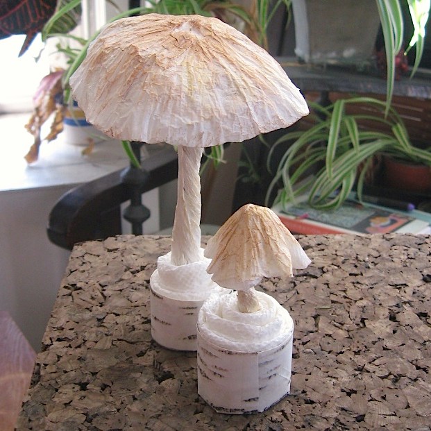 Brown toadstools, small and large