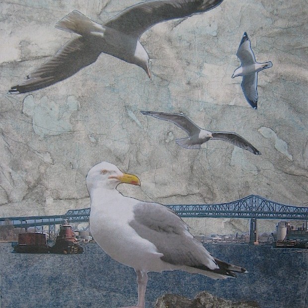 JFries MysticBirds1 Herring Gulls 4.2.19