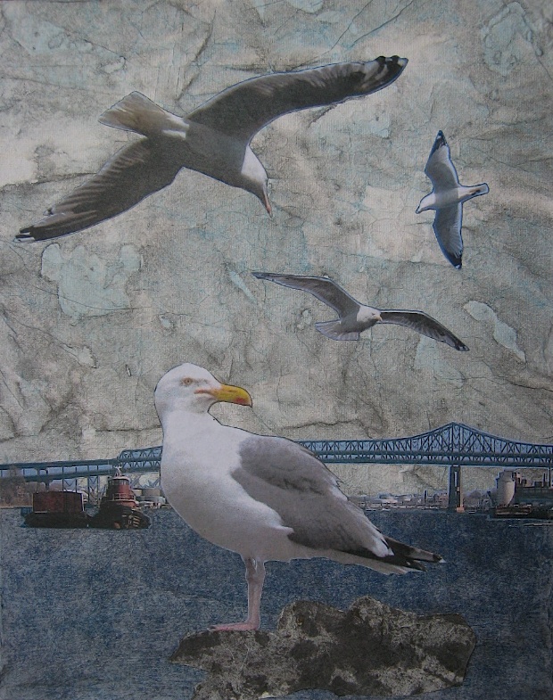 JFries MysticBirds1 Herring Gulls 4.2.19