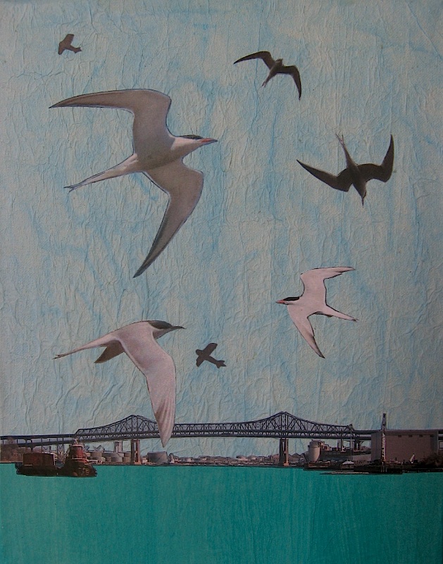 JFries MysticBirds2 Common Terns 4.2.19