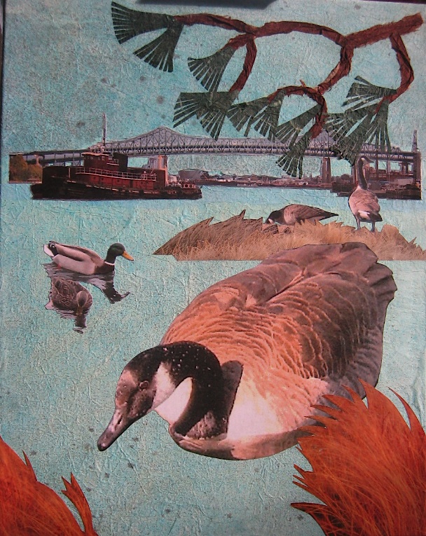 JFries MysticBirds3 Geese & Ducks 4.2.19