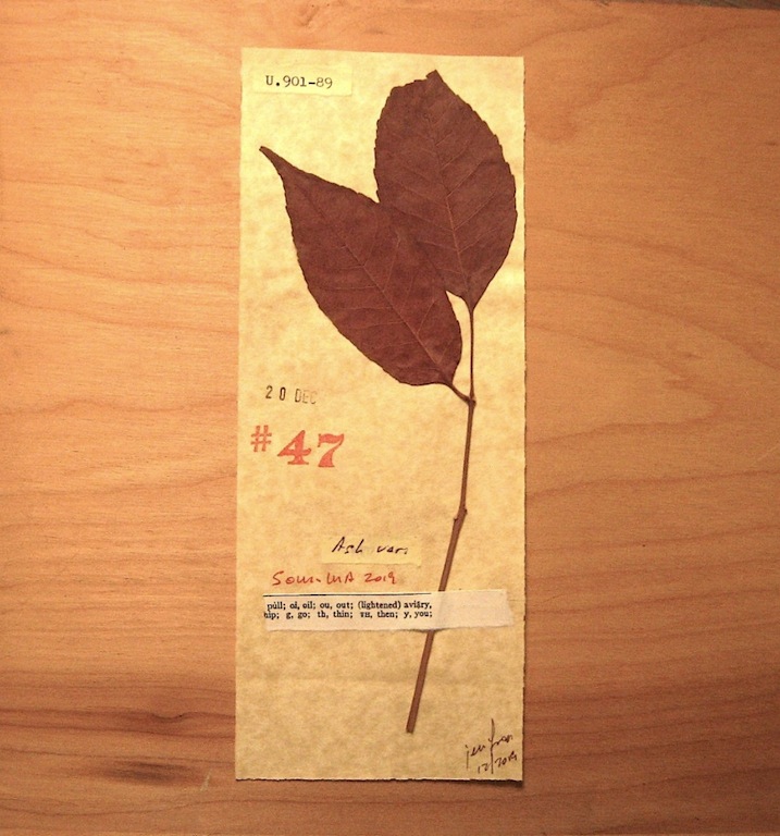 JFries Botanicals Ash.2 12.31.19