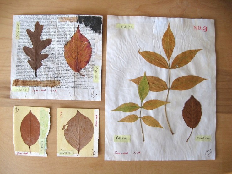 JFries Botanicals Leaves Set 1 12.19