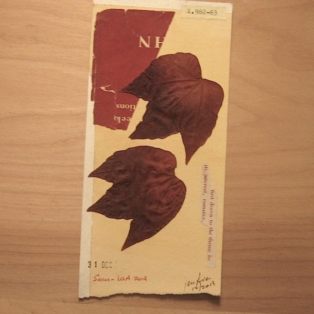 JFries Botanicals Leaves 3 12.31.19