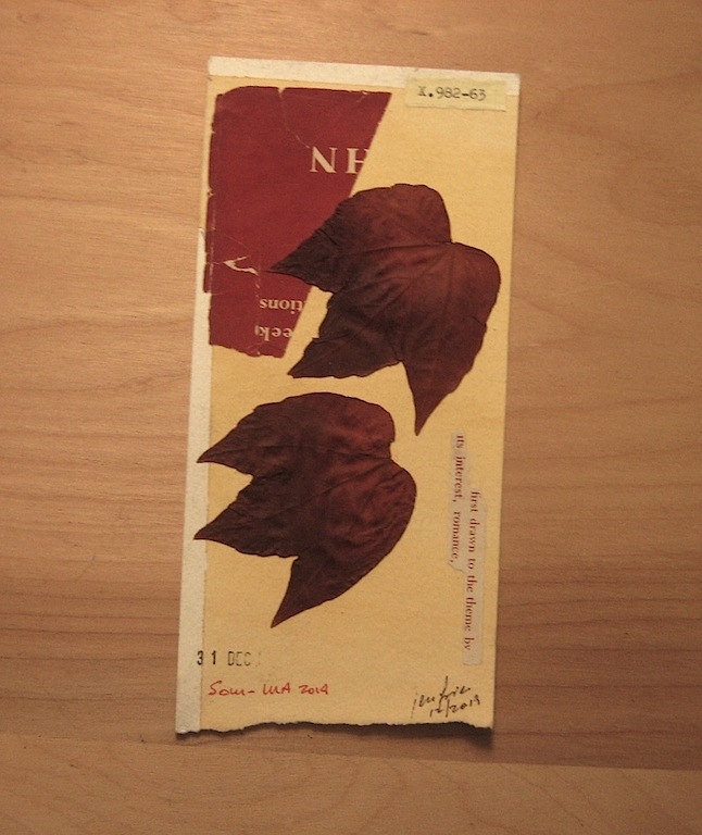 JFries Botanicals Leaves 3 12.31.19