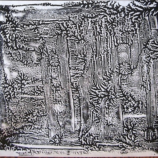 JFries bw forest dark 1.5.2020