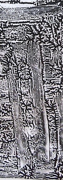 JFries bw forest dark detail2 1.5.2020