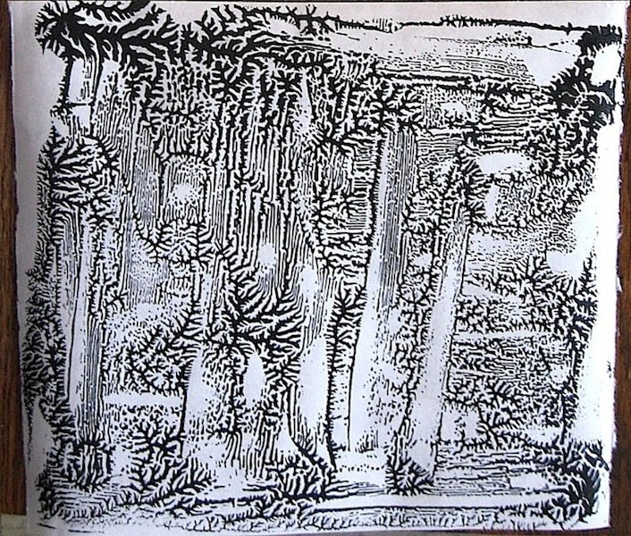 JFries bw forest light 1.5.2020