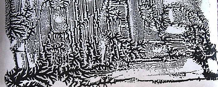 JFries forest border 1.5.2020