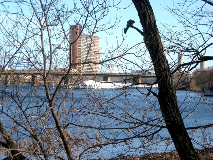 JFries Mystic River 2 downstream 1.11.2020