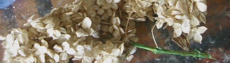 JFries spring colors 2 3.14.2020