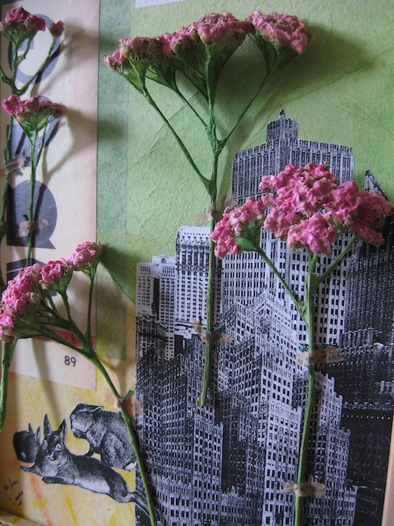 JFries Pink Yarrow detail 4.12.2020