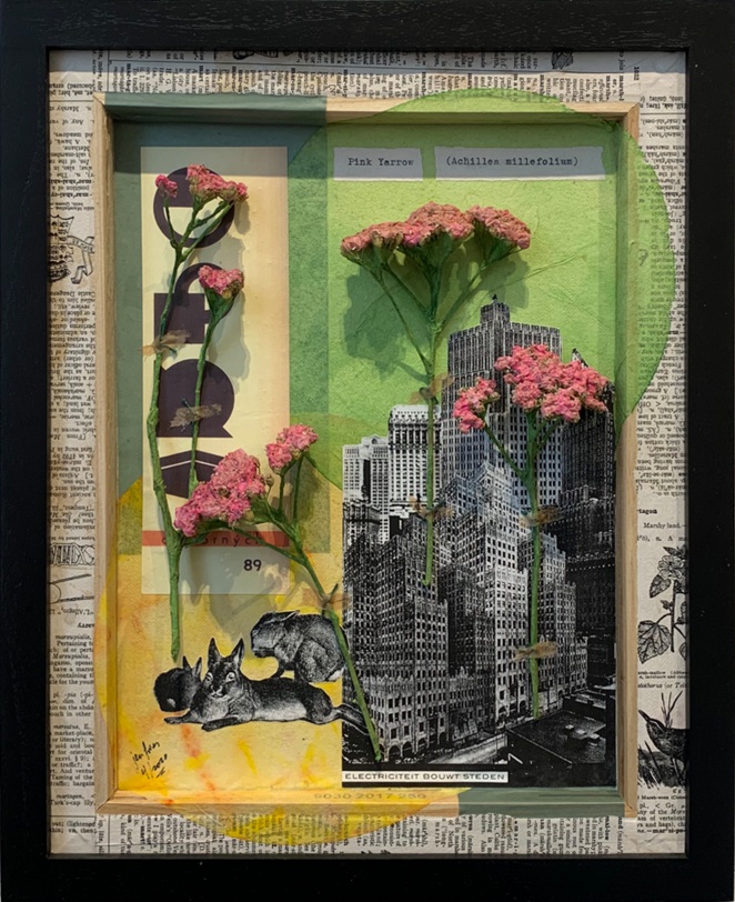 JFries Pink Yarrow 4.2020