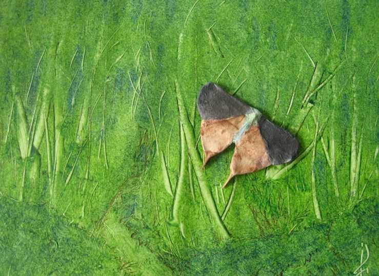 JFries moth 1 1.28.21