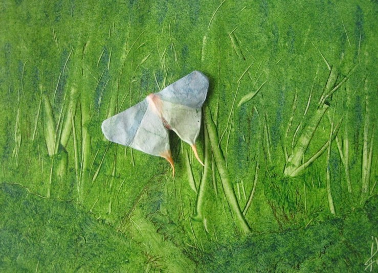 JFries moth 2 1.28.21