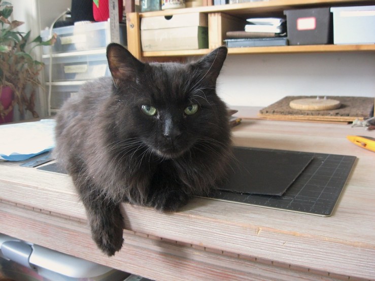 sm JFries SA Scipio 2.2021