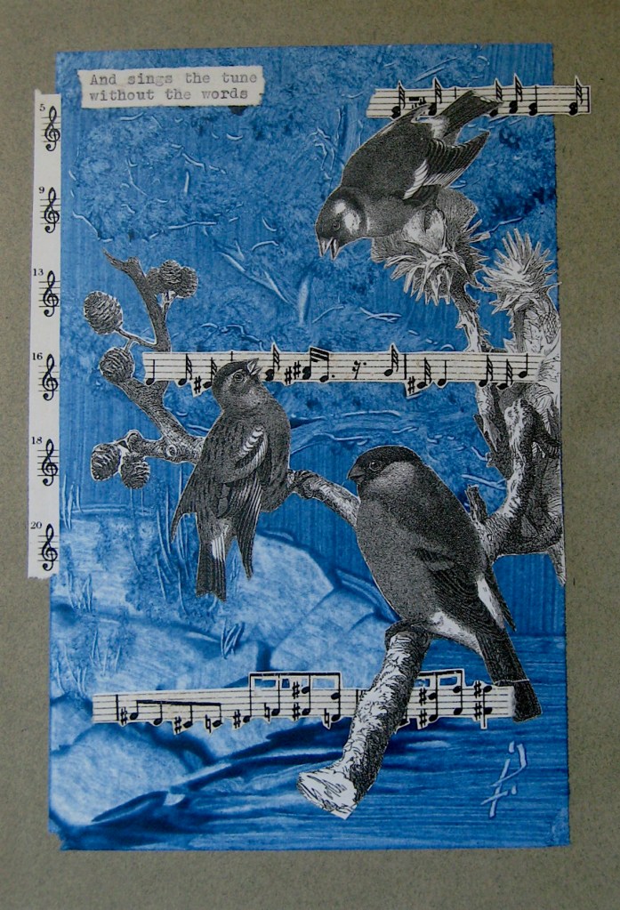 JFries sometimes the neighbors 6.30.2021