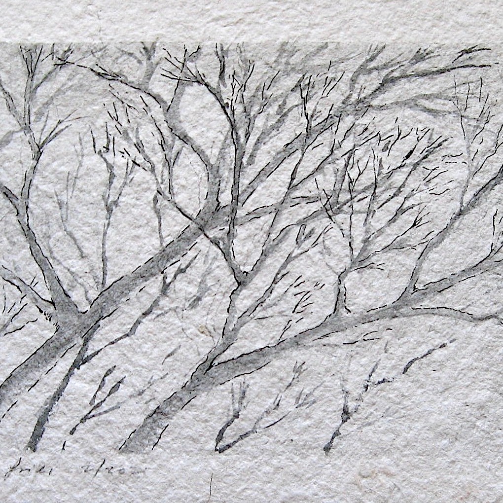 JFries winter branches full