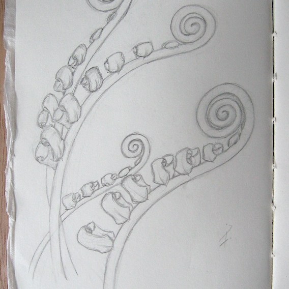 JFries sketchbook 4.2024 ferns 72dpi